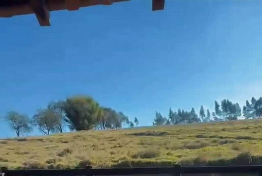 Miniatura do vídeo: Terra Natal